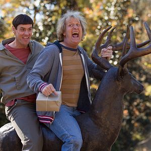 Foto Dos tontos todavía más tontos