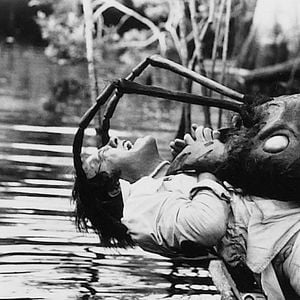 Foto El imperio de las hormigas