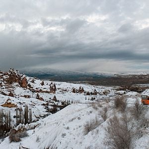 Foto Winter Sleep (Sueño de invierno)
