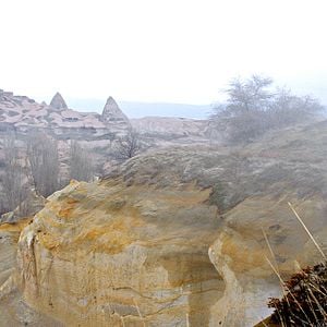 Foto Winter Sleep (Sueño de invierno)