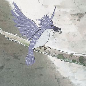 Foto El cuento de la princesa Kaguya