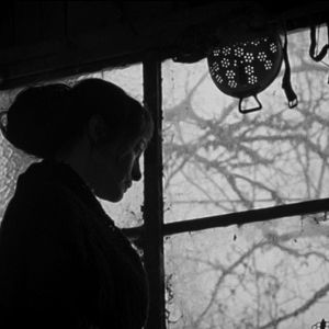 Foto Boro in the Box et Living still Life