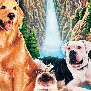 Foto De vuelta a casa. Un viaje increíble