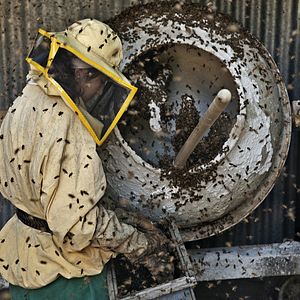 Foto El país de las maravillas