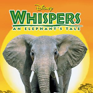 Foto Aventura elefantástica