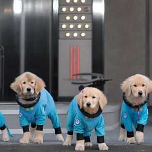 Foto Space Buddies: Cachorros en el espacio
