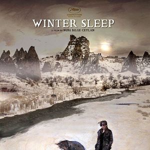 Foto Winter Sleep (Sueño de invierno)