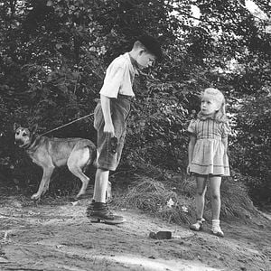 Foto Brigitte Fossey