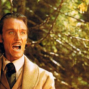 Foto Colmillo blanco