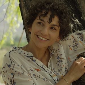 Foto El árbol magnético