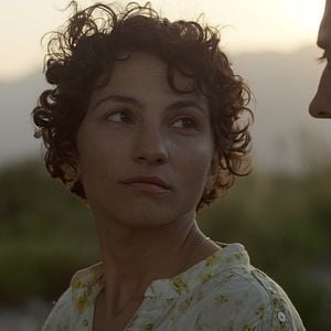 Foto El árbol magnético