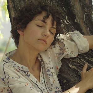 Foto El árbol magnético