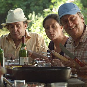 Foto El árbol magnético