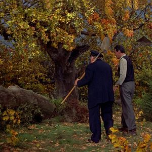 Foto Pero… ¿Quien mató a Harry?