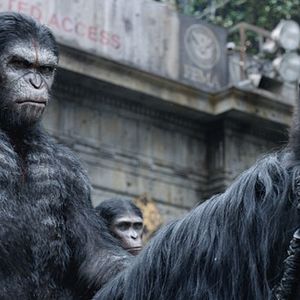 Foto El amanecer del planeta de los simios