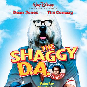 Foto Un candidato muy peludo