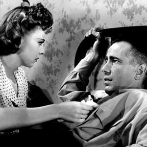 Foto El último refugio