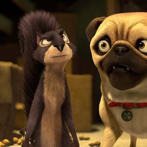 Foto Operación cacahuete