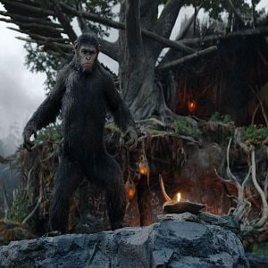 Foto El amanecer del planeta de los simios