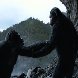 Foto El amanecer del planeta de los simios