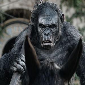 Foto El amanecer del planeta de los simios