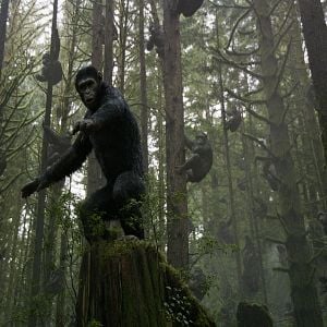 Foto El amanecer del planeta de los simios