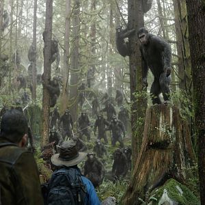 Foto El amanecer del planeta de los simios