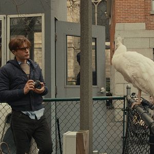 Foto Astrid Bergès-Frisbey
