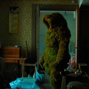 Foto La jungla interior