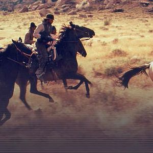 Foto El jinete púrpura