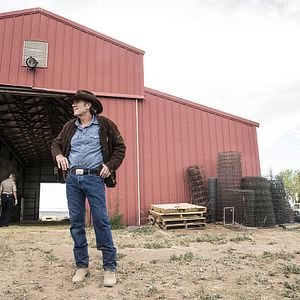 Foto Robert Taylor (II)