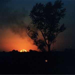 Foto Cenizas del paraiso