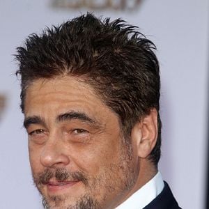 Foto Benicio Del Toro