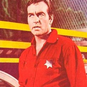 Foto Pistolas hostiles