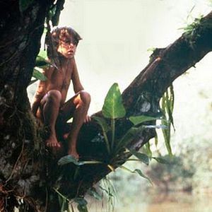 Foto Where The River Runs Black