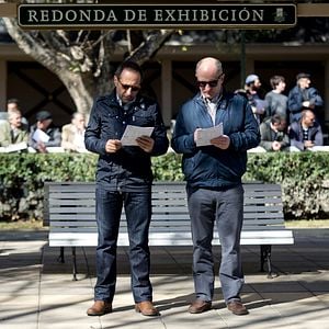 Foto El misterio de la felicidad