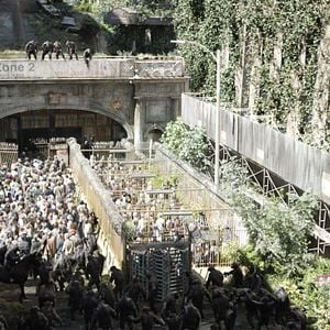 Foto El amanecer del planeta de los simios