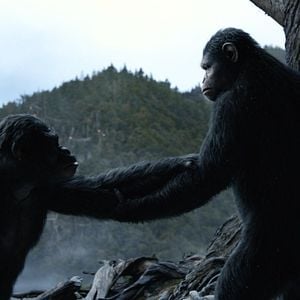 Foto El amanecer del planeta de los simios