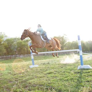 Foto Cabalgando hacia una nueva vida