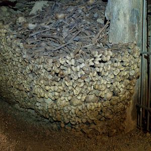 Foto Así en la Tierra como en el Infierno