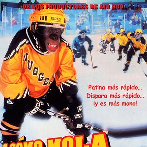 Foto ¡Cómo mola ser mono!