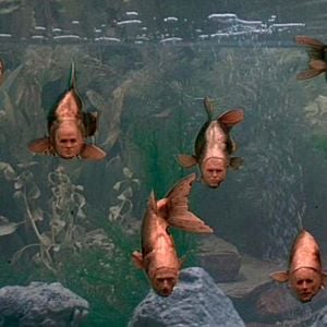 Foto El sentido de la vida