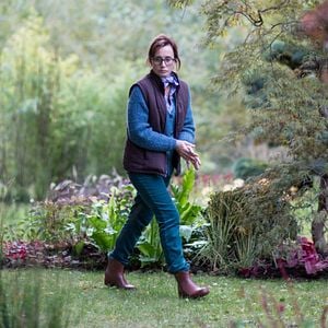 Foto Antes del frío invierno