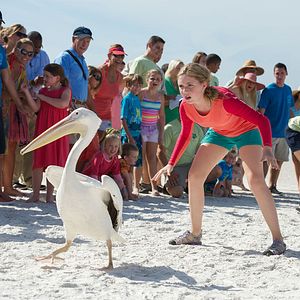 Foto Cozi Zuehlsdorff