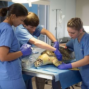 Foto Cozi Zuehlsdorff