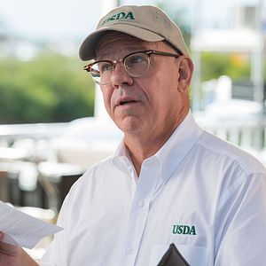 Foto La gran aventura de Winter el delfín 2