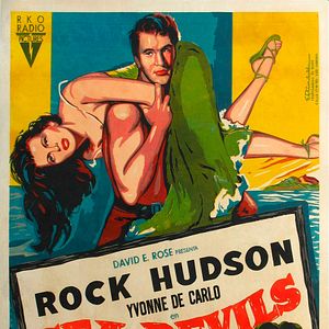 Foto Los gavilanes del estrecho