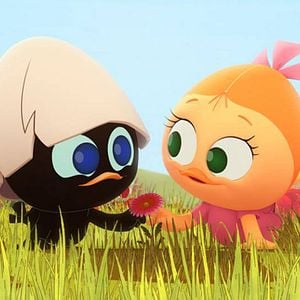 Foto Calimero (2014)