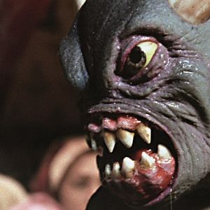 Foto Simbad. El quinto viaje