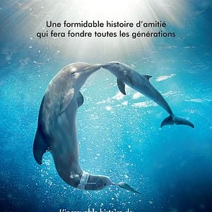 Foto La gran aventura de Winter el delfín 2